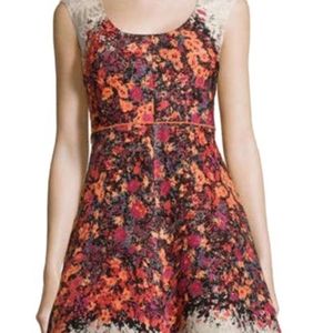 NWT Tracy Reese Floral Dress, Size 6